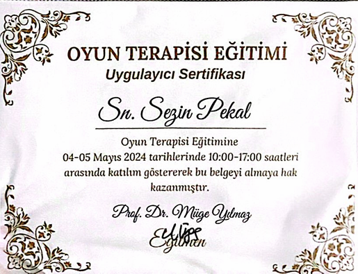 Oyun Terapisi Eğitimi